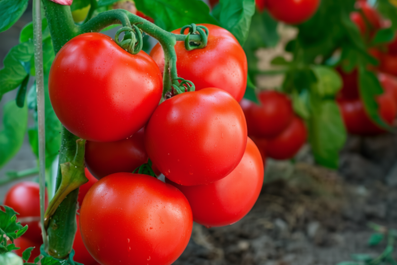 Тематическое фото Изображение сгенерировано ИИ Qwenlm.a (18+) Тематическое фото Изображение сгенерировано ИИ Qwenlm.a (18+)