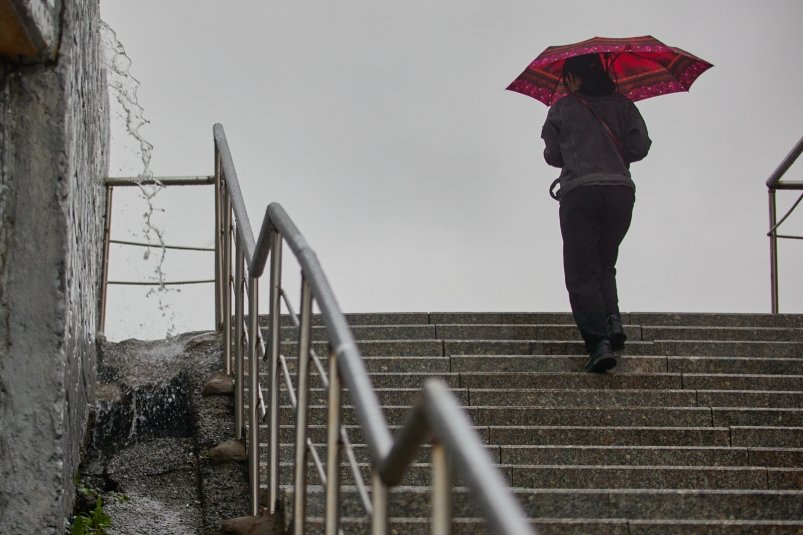 Тематическое фото Дмитрий Осипчук, ИА PrimaMedia.ru Тематическое фото Дмитрий Осипчук, ИА PrimaMedia.ru