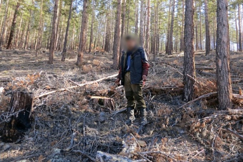 только по вине человека теряются тысячи гектаров леса в год, а в денежном выражении это составляет сотни миллионов рублей убытков. МВД Бурятии