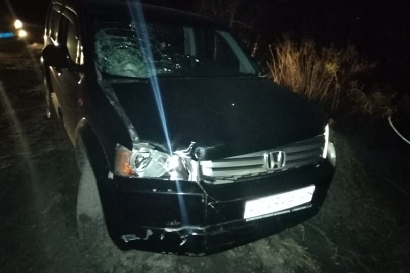 Пьяный водитель насмерть сбил пешехода на обочине в Партизанске Пресс-служба УМВД России по Приморскому краю