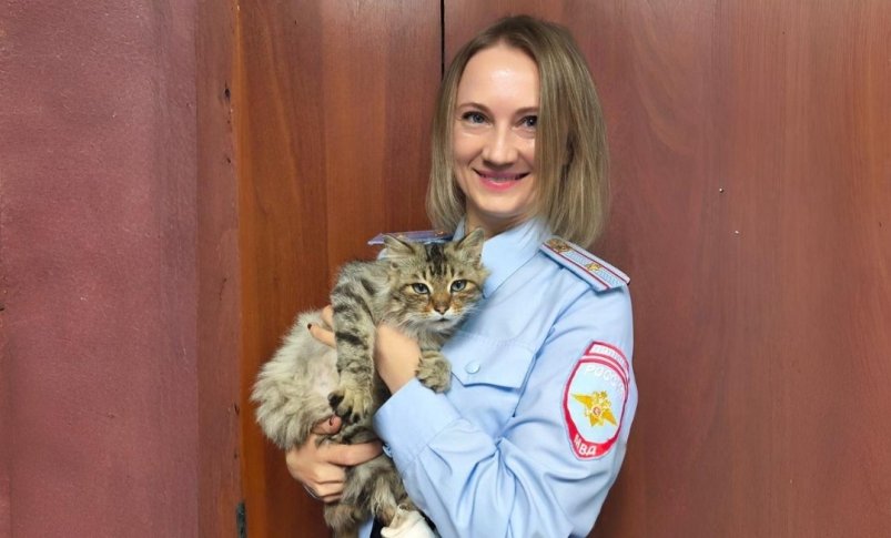 . пресс-служба ГУ МВД России по Красноярскому краю