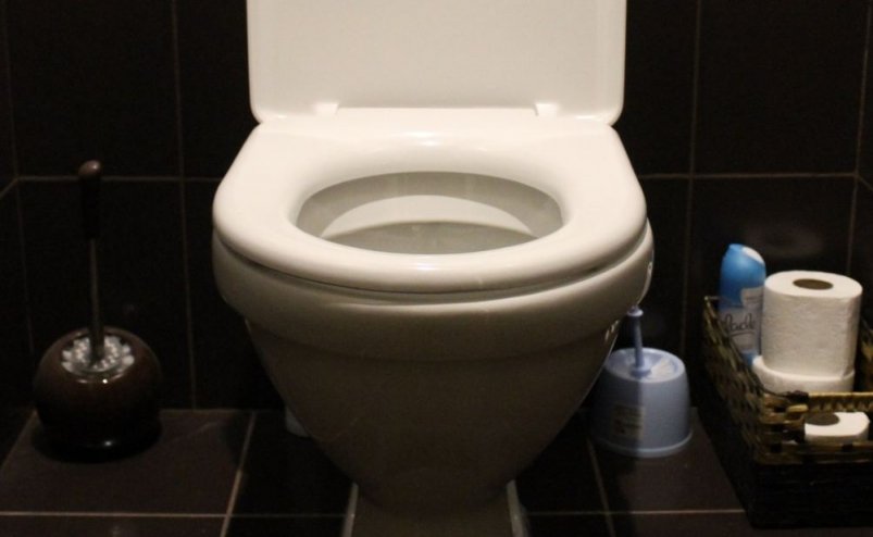 Тематическое фото pxhere.com Тематическое фото pxhere.com