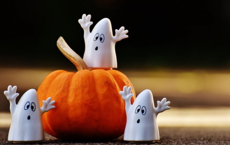 Тематическое фото pxhere.com Тематическое фото pxhere.com