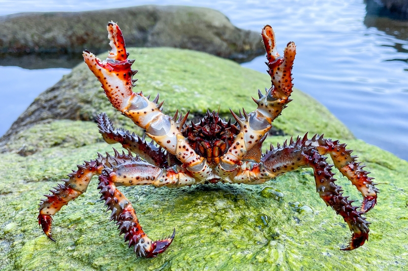 Тематическая иллюстрация ИА PrimaMedia Тематическая иллюстрация ИА PrimaMedia