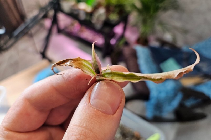 Тематическое фото Автор канала Тематическое фото Автор канала