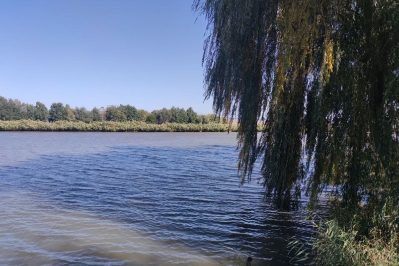 Тематическое фото ИА Stavropol.Media Тематическое фото ИА Stavropol.Media