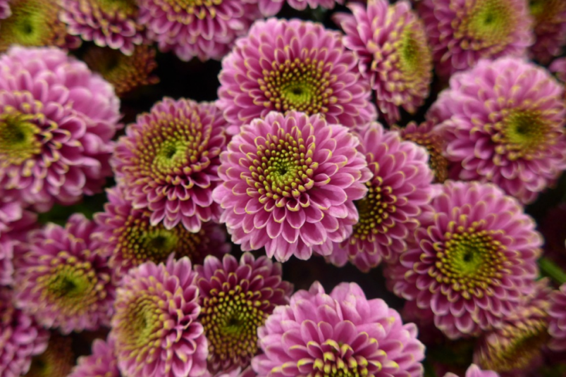 Тематическое фото pxhere.com