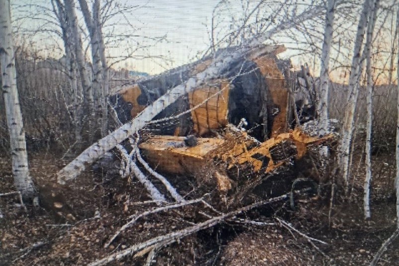 Фото с места аварии Госавтоинспекции Забайкалья Фото с места аварии Госавтоинспекции Забайкалья