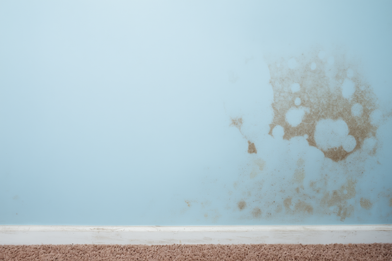 Тематическое фото Изображение сгенерировано ИИ Qwenlm.a (18+). Тематическое фото Изображение сгенерировано ИИ Qwenlm.a (18+).