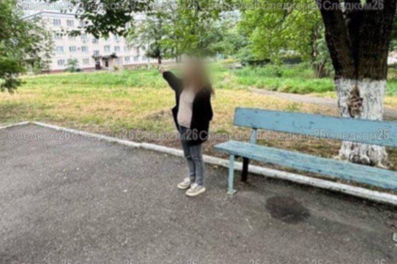 Жительницу Георгиевска, ударившую ножом 17-летнюю девушку, на год лишили свободы Пресс-служба СУ СКР по Ставрополью Жительницу Георгиевска, ударившую ножом 17-летнюю девушку, на год лишили свободы Пресс-служба СУ СКР по Ставрополью