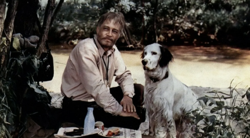 Даже мужчины плачут на 3 минуте: 4 самых грустных фильмов СССР. Сердце разрывается у 95% зрителей Кадр из фильма "Белый Бим Черное ухо" (6+) Даже мужчины плачут на 3 минуте: 4 самых грустных фильмов СССР. Сердце разрывается у 95% зрителей Кадр из фильма "Белый Бим Черное ухо" (6+)