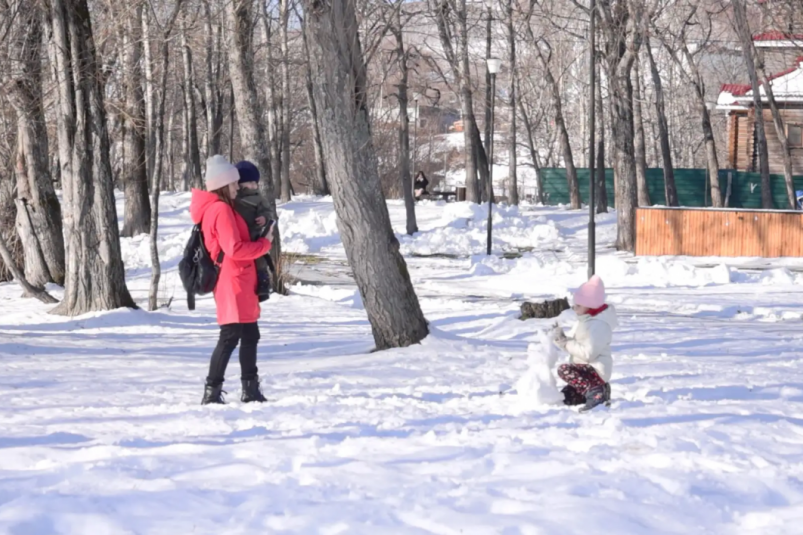 Ель, рябину, берёзу и цветочные клумбы хотят видеть жители краевой столицы в парке Индустриальный на Камчатке. Официальный сайт Камчатского края Ель, рябину, берёзу и цветочные клумбы хотят видеть жители краевой столицы в парке Индустриальный на Камчатке. Официальный сайт Камчатского края