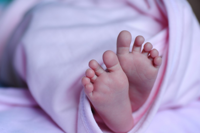 Тематическое фото pxhere.com