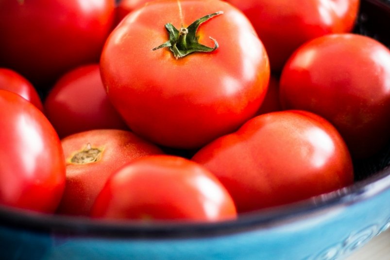 Дачники, эти сорта помидоров слаще меда и конфет: многие скупают семена уже в ноябре unsplash