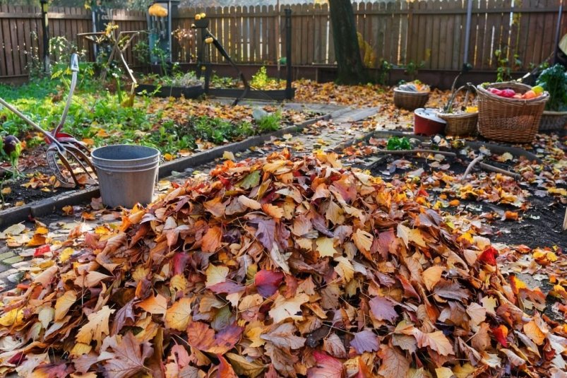 ИИ Кандинский (18+)  ИИ Кандинский (18+)