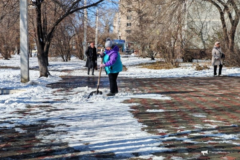 Количество осадков прогнозируется около нормы Юлия Ожегова, ИА PriamurMedia Количество осадков прогнозируется около нормы Юлия Ожегова, ИА PriamurMedia