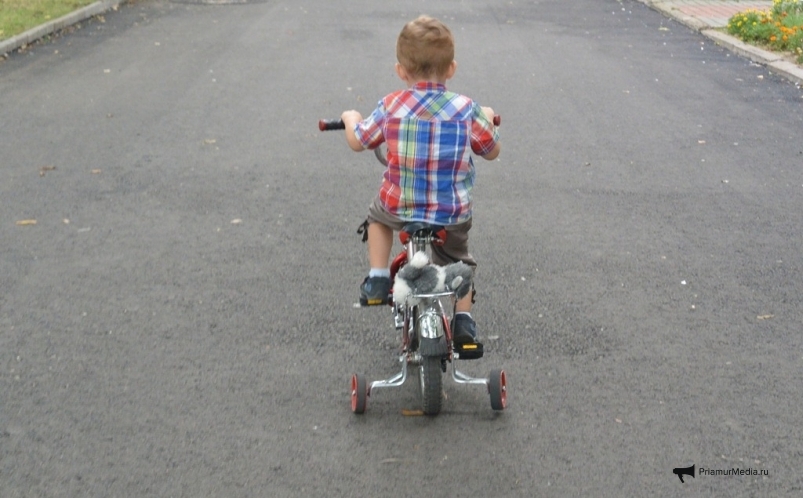 Тематическое фото Наталья Баграновская, ИА EAOmedia