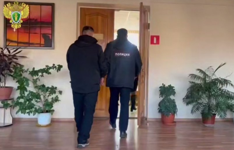 Фигурант дела о смертельном ДТП в Партизанске заключен под стражу   пресс-служба Прокуратуры Приморского края Фигурант дела о смертельном ДТП в Партизанске заключен под стражу   пресс-служба Прокуратуры Приморского края