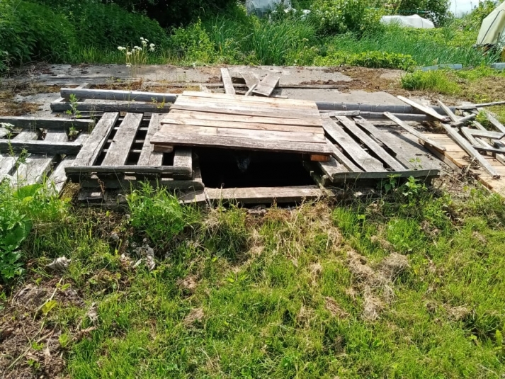 Выгребная яма из открытых источников