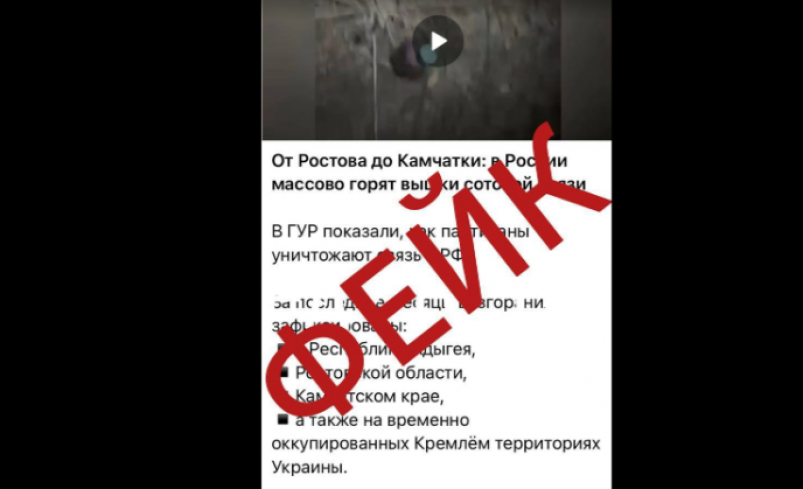 Фейк Минцифры Камчатского края Фейк Минцифры Камчатского края