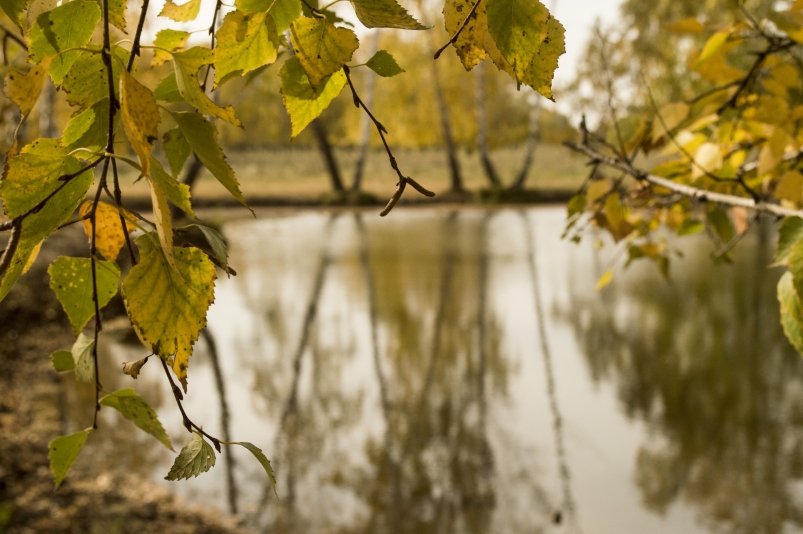 . Евгений Овдеенко, ИА OmskMedia . Евгений Овдеенко, ИА OmskMedia