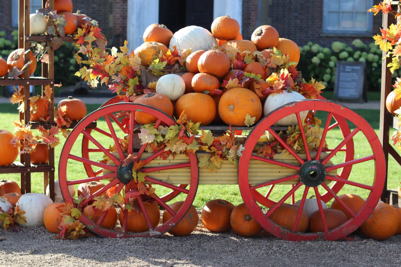 Тематическое фото unsplash.com Тематическое фото unsplash.com