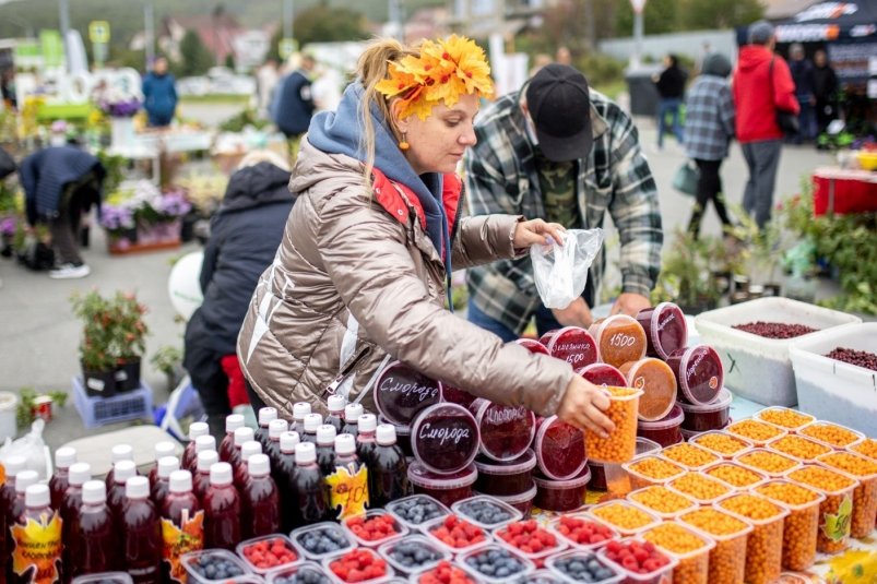 Тематическое фото пресс-служба министерства сельского хозяйства и торговли Сахалинской области Тематическое фото пресс-служба министерства сельского хозяйства и торговли Сахалинской области
