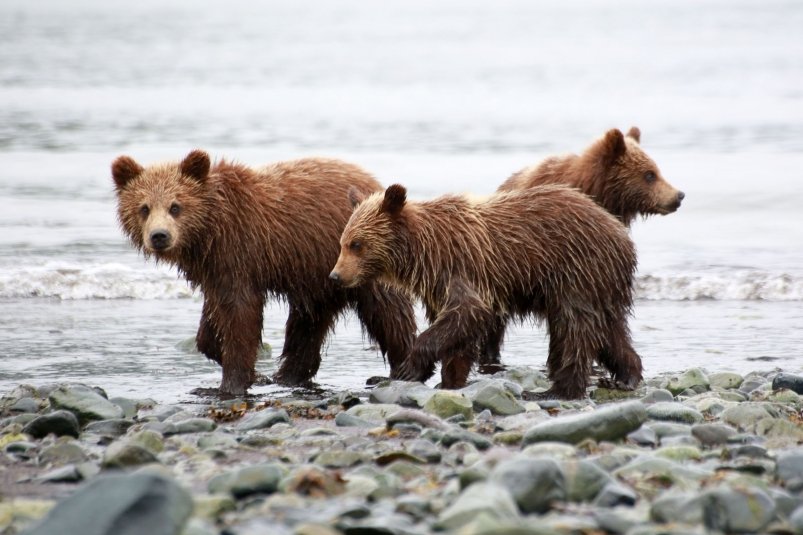 Тематическое фото Чёрный Игорь, MagadanMedia.ru Тематическое фото Чёрный Игорь, MagadanMedia.ru