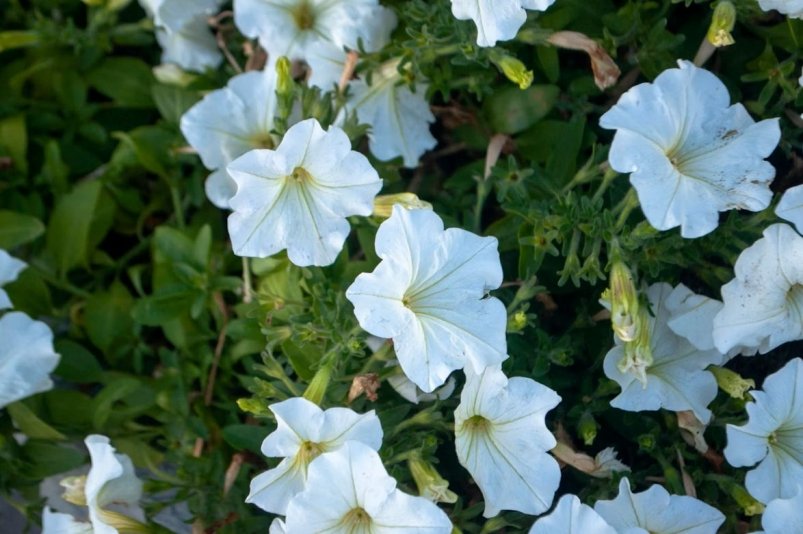 Тематическое фото Unsplash.com