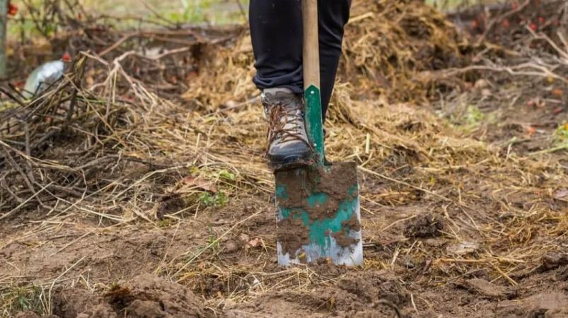 Тематическое фото Автор канала Тематическое фото Автор канала