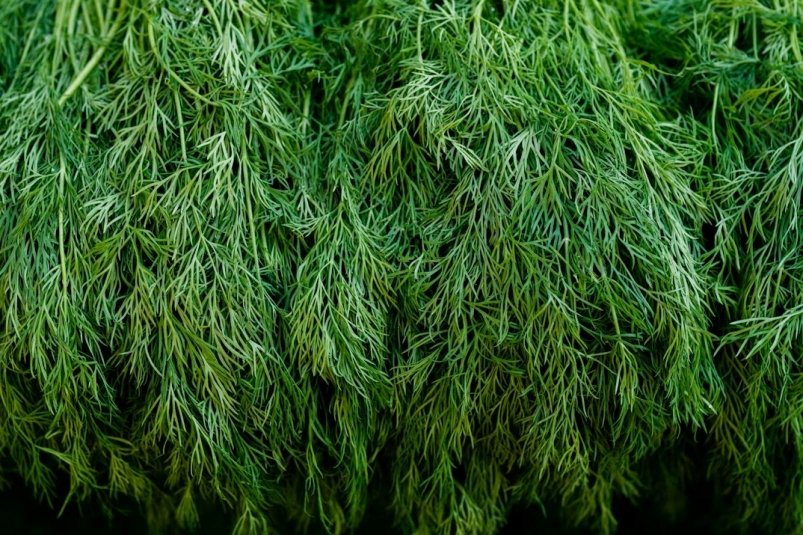 Тематическое фото Unsplash.com