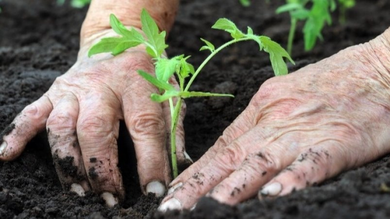 Тематическое фото Автор канала