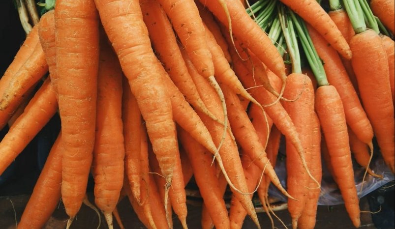 Тематическое фото Unsplash.com