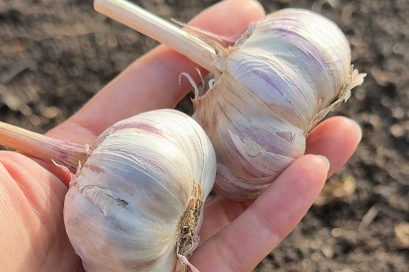 Тематическое фото Автор канала