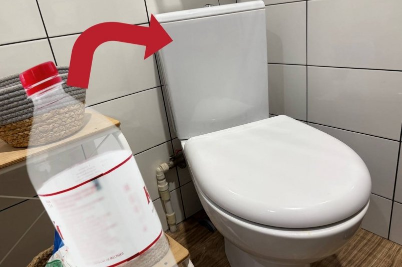 Кладу бутылку в бачок для унитаза, и пахнет утренним лесом - хватит на месяц ИА Stavropol.Media