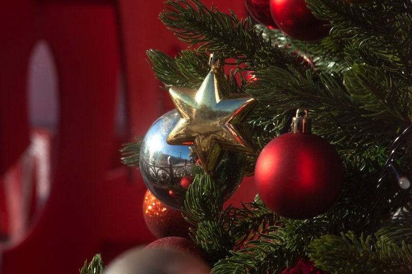 Зима Юлия Матреницкая, ИА AmurMedia.ru Зима Юлия Матреницкая, ИА AmurMedia.ru