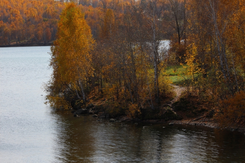 Река Юлия Ушакова, ИА IrkutskMedia