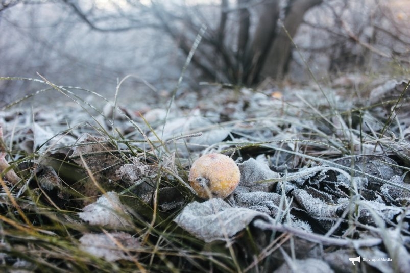 Ждём мокрый снег: какая погода будет на Ставрополье в ноябре – прогноз синоптика ИА Stavropol.Media Ждём мокрый снег: какая погода будет на Ставрополье в ноябре – прогноз синоптика ИА Stavropol.Media