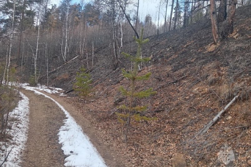 Пожар ГУ МЧС России по Забайкалью Пожар ГУ МЧС России по Забайкалью