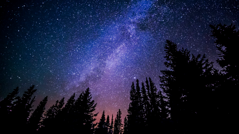 Тематическое фото unsplash.com