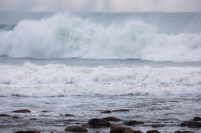 Тематическое фото Илья Аверьянов, ИА PrimaMedia Тематическое фото Илья Аверьянов, ИА PrimaMedia