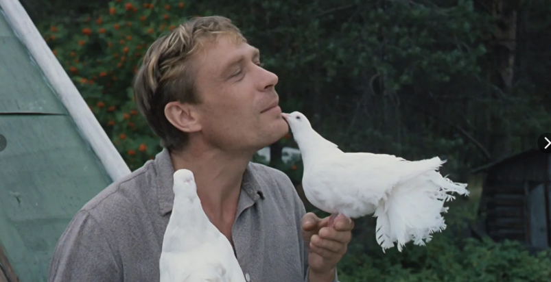 Тематическое фото Кадр из фильма "Любовь и голуби" (12+) Тематическое фото Кадр из фильма "Любовь и голуби" (12+)