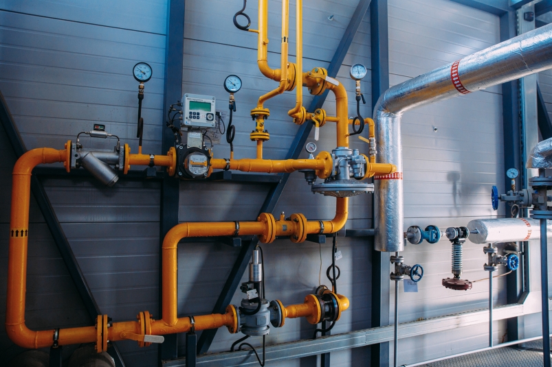 Тематическое фото Мария Смитюк, ИА PrimaMedia