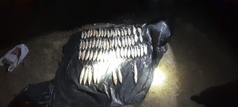 Рыба тг-канал (18+) ЛУ МВДТ по Забайкалью