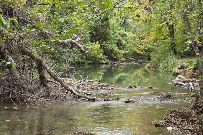 Река Черная Алексей Парамонов, ИА SevastopolMedia