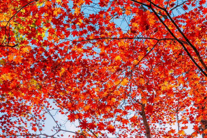 Тематическое фото ИА OmskMedia