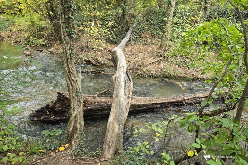 Река Черная под Севастополем Алексей Парамонов, ИА SevastopolMedia