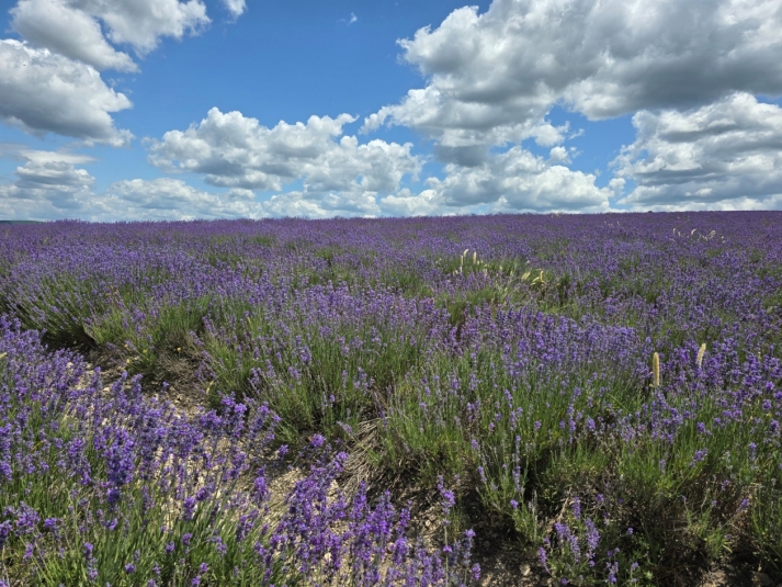 Тематическое фото Алексей Парамонов, ИА SevastopolMedia