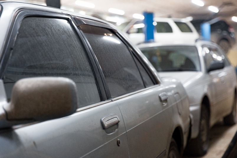 Тематическая фотография Илья Аверьянов, ИА PrimaMedia