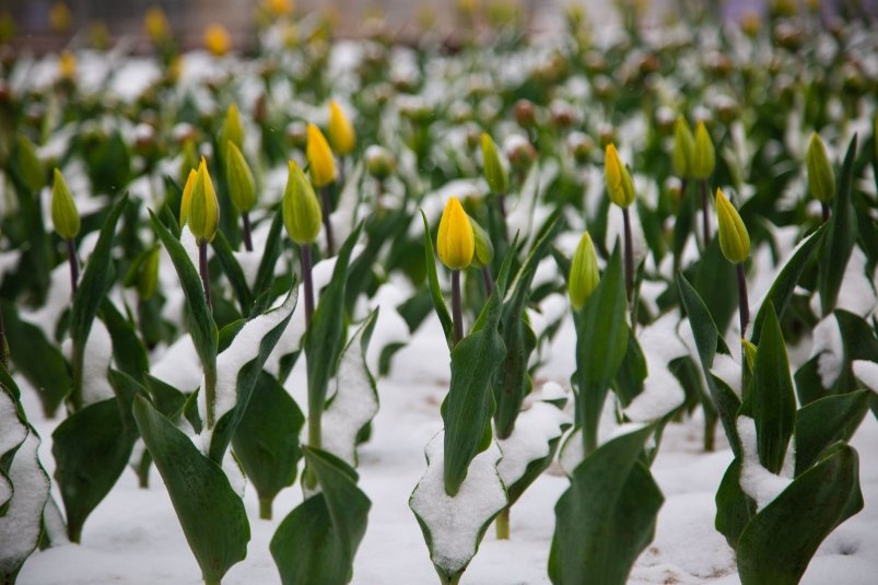 Тематическое фото Артём Хорошилов  , ИА Stavropol.Media